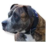 Lederhalsband Apach Indianer Schwarz Perlen Schwarz Braun Unterlegt Halsband LEDER Breit sehr stabil M L XL Hohe Zugkraft