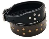 Lederhalsband RUFUS unterlegt Halsband LEDER Nieten Schwarz Braun Breit sehr stabil M L XL