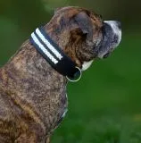 Ruffle Lederhalsband Leder Schwarz Breit Hohe Zugkraft doppelte Zierkordel Wei� / Creme LEDER Breit sehr stabil M L XL