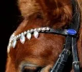 Trense VERONA Diadem Glitzer Tropfenband Leder Englisch Schwarz Minishetty Shetty incl. Zgel Zaum Minipony