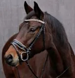 Snake Leder Trense Umlenkverschnallung ergonomisch Genickaussparung Ohrenfreiheit + Z�gel VB WB XFULL