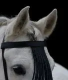 Stirnband PAOLO spanisch Stirnriemen Schwarz Fransen Frotalera Pony VB WB Leder Fransenstirnband gerade