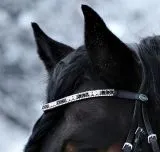 Leder Trense Schwarz DANDY Lack Glitzer VB WB X Full XXF Kaltblut Zaum Ledertrense Schwedisch + Zgel Ledertrense ergonomisch Fischgrt Muster