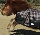 1200 Denier Regendecke / Outdoordecke Braun Karo ohne Fllung =0 Gramm Baumwoll Lining ! 65 70 75 80 85 90 95 100 cm Rckenlnge