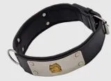 Lederhalsband THOR Breit Metallplatte Schwarz Leder X L XL Hundekopf Bulli Leder Halsband