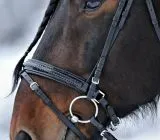 Leder Trense Schwarz DANDY Lack Glitzer VB WB X Full XXF Kaltblut Zaum Ledertrense Schwedisch + Zgel Ledertrense ergonomisch Fchermuster