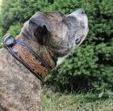 Lederhalsband Blair Breit Leder M L XL Leder Halsband Schwarz Braun pun�zie�rt Blumen