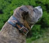 Lederhalsband Rich Breit Leder M L XL Leder Halsband Schwarz Braun pun�zie�rt