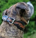 Lederhalsband Rich Breit Leder M L XL Leder Halsband Schwarz Braun punziert