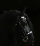 B WARE Trense Diamanti Strass Stirn + Nasenriemen Schwarz Leder VB WB Ledertrense B WARE