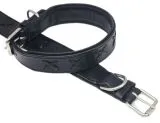 Halsband Zierstick Schwarz Leder Hundehalsband 38-44 cm Halsumfang Breit 4-4,2 cm Lederhalsband Gr. M