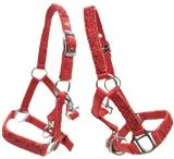 Fancy Halfter Minishetty Shetty Fohlenhalfter Glitzer Rot Glitzerhalfter Nylonhalfter Falabella Minipony