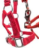 Fancy Halfter Minishetty Shetty Fohlenhalfter Glitzer Rot Glitzerhalfter Nylonhalfter Falabella Minipony