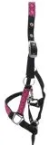 Halfter Fancy Minishetty Shetty Fohlenhalfter Glitzer Schwarz Pink Fohlen Glitzerhalfter Nylonhalfter