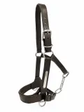 Reithalfter Halfter Titan Leder Gravurplatte Schwarz Kaltblut X Full XX Full Noriker robust breite Ausf�hrung