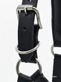 Reithalfter Halfter Titan Leder Gravurplatte Schwarz Kaltblut X Full XX Full Noriker robust breite Ausf�hrung