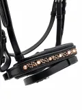 Trense DIONI Minishetty Shetty Welsh Strass Glitzer mit Schmucksteinen in Champagner incl. Z�gel