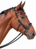 Minishetty Shetty Welsh Sidepull Trense NOVA gebisslose Ledertrense Schnellverschluss-Stirnriemen Gummiz�geln bis x Full