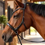 Minishetty Shetty Welsh Sidepull Trense NOVA gebisslose Ledertrense Schnellverschluss-Stirnriemen Gummiz�geln bis x Full