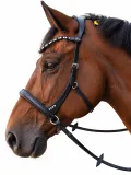 Minishetty Shetty Welsh Sidepull Trense NOVA gebisslose Ledertrense Schnellverschluss-Stirnriemen Gummiz�geln bis x Full