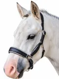 Elara Lederhalfter Glitzer weiches Leder Halfter ergonomisches Genick Minishetty Shetty Welsh Glitzerhalfter