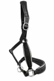 Elara Lederhalfter Glitzer weiches Leder Halfter ergonomisches Genick Minishetty Shetty Welsh Glitzerhalfter