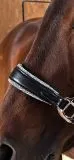 Elara Lederhalfter Glitzer weiches Leder Halfter ergonomisches Genick Minishetty Shetty Welsh Glitzerhalfter