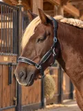 Elara Lederhalfter Glitzer weiches Leder Halfter ergonomisches Genick Minishetty Shetty Welsh Glitzerhalfter