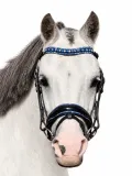 Luna Blau Leder Minishetty Shetty Welsh Ledertrense Leder Glitzertrense MS S Lack Strass