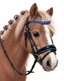 Luna Blau Leder Minishetty Shetty Welsh Ledertrense Leder Glitzertrense MS S Lack Strass