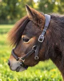 Avena Lederhalfter Leder Halfter Minishetty Shetty Welsh Pony Schwarz Braun ergonomisch - fallen gro� aus-