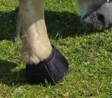 Hufglocken X Full bis 4 XF Neoprene / 1680 Denier Percheron Hohe Reisfestigkeit Kaltblut Glocken �bergr��e Drehstop ergonomisch