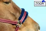 Halfter Fleece Gloria Halfter weich unterlegt Pony VB WB EX FUL