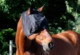 Fliegenhaube Fliegenmaske Pony VB WB Ex Full Kaltblut mit oder ohne Ohren Viel Augenfreiheit Schwarz