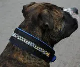 Lederhalsband Bunt Rainbow Leder Blau unterlegt M L XL BREIT ! Halsband Leder Hundehalsband