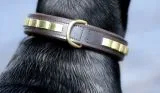 B - WARE !!! Hundehalsband DOLF Braun o Schwarz Gold Farben Messing Beschlge Leder B- WARE !!!!