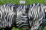 EkzemerdeckeFliegendecke Exemer Decke Zebra 60 65 70 75 80 85 90 100 cm Minishetty Shetty Welsh