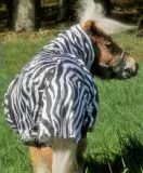 EkzemerdeckeFliegendecke Exemer Decke Zebra 60 65 70 75 80 85 90 100 cm Minishetty Shetty Welsh