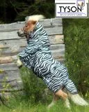 Fliegendecke ZEBRA mit Halsteil 60 70 75 80 85 90 95 100 cm R�ckenl�nge Schwarz Wei� Minishetty Shetty