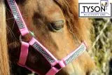 Halfter Hilly Glitzer Minishetty Baby Rosa Minishetty Shetty Pony VB WB X Full Nylonhalfter Glitzerhalfter