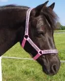 Halfter Hilly Glitzer Minishetty Baby Rosa Minishetty Shetty Pony VB WB X Full Nylonhalfter Glitzerhalfter