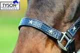 Halfter Stars Schwarz Lack Sterne Pony VB WB ExFULL XFULL Nylonhalfter