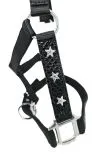 Halfter Stars Schwarz Lack Sterne Pony VB WB ExFULL XFULL Nylonhalfter