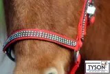 Halfter Hilly Nylon ROT GLITZER ! Minishetty Shetty Pony VB WB X Full Glitzerhalfter Nylonhalfter