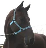 Halfter Hilly Nylon Hellblau GLITZER Shetty Pony Minishetty Shetty Pony VB WB XFull Glitzerhalfter