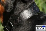 Hundehalsband Leder Zierstich Schwarz Braun M L XL BREIT Kreuz Halsband Leder Zierkreuz Lederhalsband Zierstick