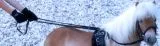 Gurtz�gel Gurt Z�gel 3 oder 4 Meter lang WB Kaltblut Schwarz Langz�gel