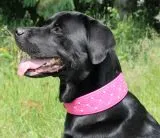 ROSA Pink Glitzer Strass Elena Buffalo Leder super weich NUR NOCH Gr. S Oval auslaufend