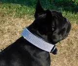 B WARE Hundehalsband Halsband FUNKY Glitzer Total M L XL EXTRA Breit Gold- oder Silberfarben LEDER