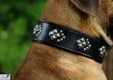 Lederhalsband ISAAC Nieten Buffalo Leder Nur noch Gr. S BREIT